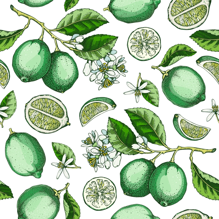 Lime fruit seamless pattern. Citrus fruit sketches watercolor style. Botanical background. Exotic plants texture. Hand drawn vector illustration. NOT AI generated